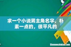 求一个小说男主角名字，朴素一点的，很平凡的