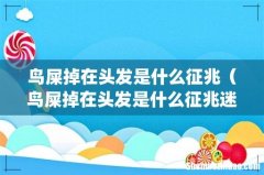 鸟屎掉在头发是什么征兆（鸟屎掉在头发是什么征兆迷信)