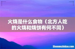 北方人吃的火烧和烧饼有何不同 火烧是什么食物