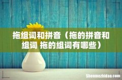 拖的拼音和组词 拖的组词有哪些 拖组词和拼音