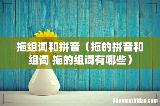 拖的拼音和组词 拖的组词有哪些 拖组词和拼音