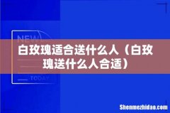 白玫瑰送什么人合适 白玫瑰适合送什么人