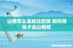 山楂怎么去核比较快 如何用筷子去山楂核
