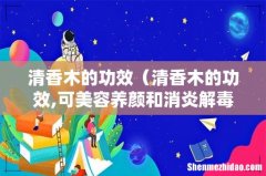 清香木的功效,可美容养颜和消炎解毒 清香木的功效
