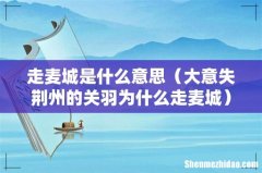 大意失荆州的关羽为什么走麦城 走麦城是什么意思