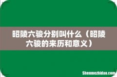 昭陵六骏的来历和意义 昭陵六骏分别叫什么