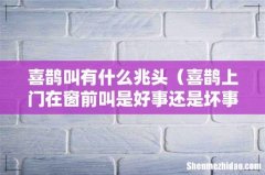 喜鹊上门在窗前叫是好事还是坏事 喜鹊叫有什么兆头