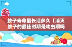 消灭蚊子的最佳时期是幼虫期吗 蚊子寿命最长活多久