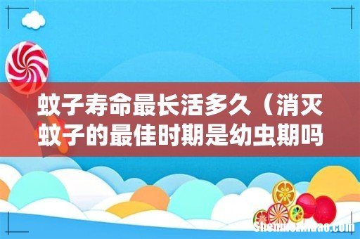 消灭蚊子的最佳时期是幼虫期吗 蚊子寿命最长活多久