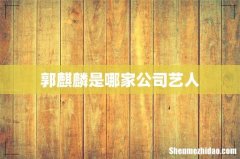 郭麒麟是哪家公司艺人