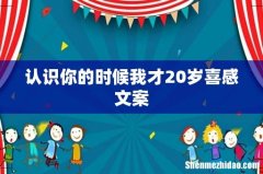 认识你的时候我才20岁喜感文案