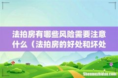 法拍房有哪些风险需要注意什么（法拍房的好处和坏处)
