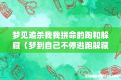 梦见追杀我我拼命的跑和躲藏（梦到自己不停逃跑躲藏)