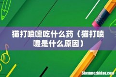 猫打喷嚏是什么原因 猫打喷嚏吃什么药