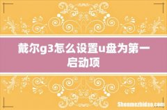 戴尔g3怎么设置u盘为第一启动项