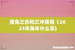 属兔三合和三冲属相（2023年兔年什么命)