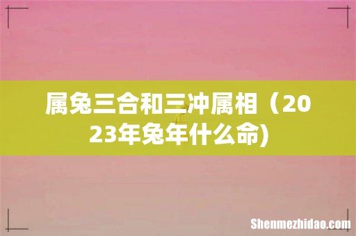 属兔三合和三冲属相（2023年兔年什么命)