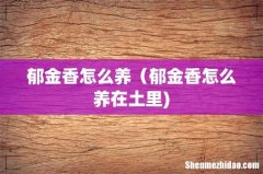 郁金香怎么养（郁金香怎么养在土里)