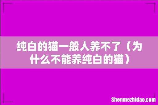 为什么不能养纯白的猫 纯白的猫一般人养不了