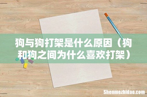 狗和狗之间为什么喜欢打架 狗与狗打架是什么原因