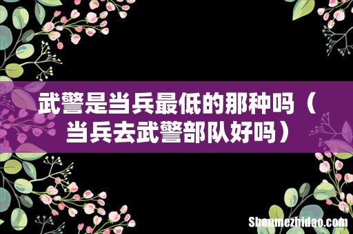 当兵去武警部队好吗 武警是当兵最低的那种吗