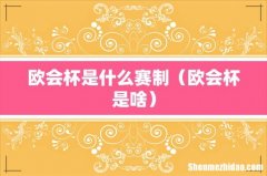 欧会杯是啥 欧会杯是什么赛制
