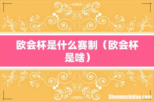 欧会杯是啥 欧会杯是什么赛制