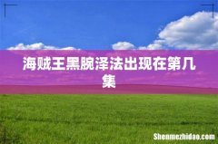 海贼王黑腕泽法出现在第几集