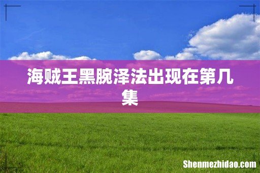 海贼王黑腕泽法出现在第几集