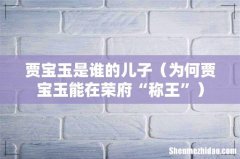 为何贾宝玉能在荣府“称王” 贾宝玉是谁的儿子