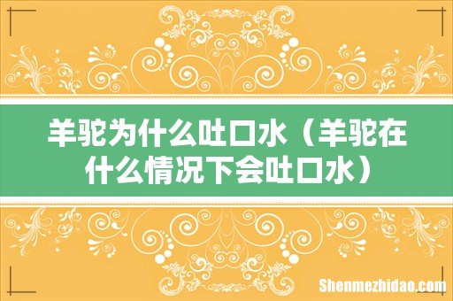 羊驼在什么情况下会吐口水 羊驼为什么吐口水