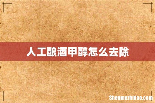 人工酿酒甲醇怎么去除