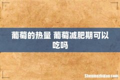 葡萄的热量 葡萄减肥期可以吃吗