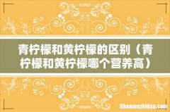 青柠檬和黄柠檬哪个营养高 青柠檬和黄柠檬的区别