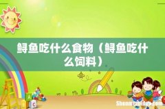 鲟鱼吃什么饲料 鲟鱼吃什么食物