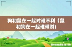 狗和鼠在一起对谁不利（鼠和狗在一起谁带财)