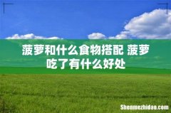 菠萝和什么食物搭配 菠萝吃了有什么好处