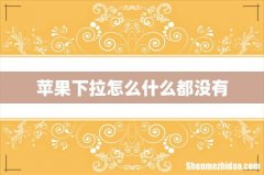 苹果下拉怎么什么都没有
