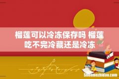 榴莲可以冷冻保存吗 榴莲吃不完冷藏还是冷冻