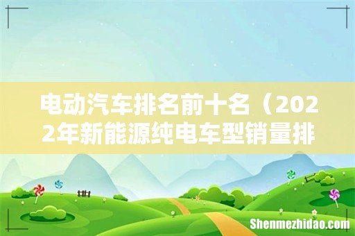 2022年新能源纯电车型销量排名 电动汽车排名前十名