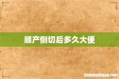 顺产侧切后多久大便