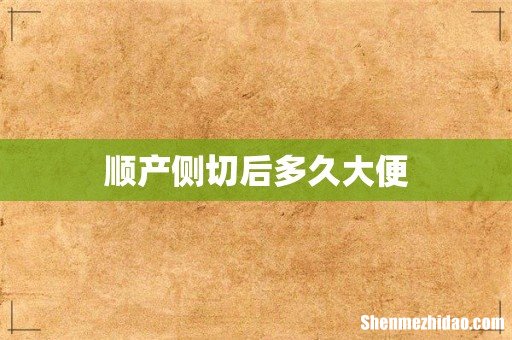 顺产侧切后多久大便