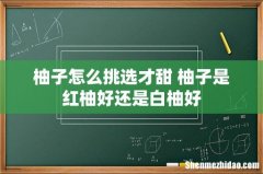 柚子怎么挑选才甜 柚子是红柚好还是白柚好