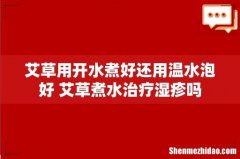 艾草用开水煮好还用温水泡好 艾草煮水治疗湿疹吗