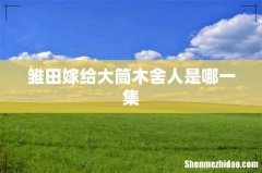 雏田嫁给大筒木舍人是哪一集