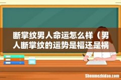 男人断掌纹的运势是福还是祸 断掌纹男人命运怎么样