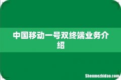 中国移动一号双终端业务介绍