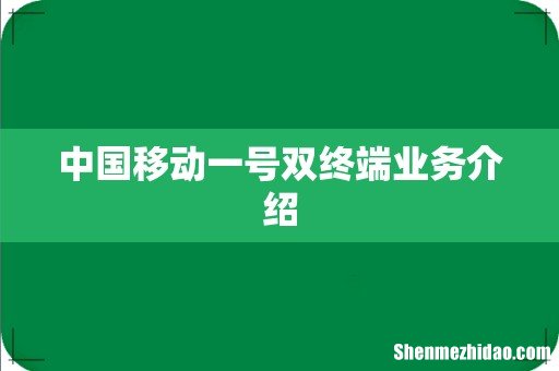 中国移动一号双终端业务介绍