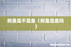 鳄鱼是鱼吗 鳄鱼是不是鱼