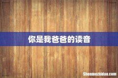 你是我爸爸的读音